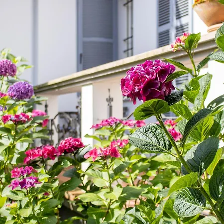 Antica Casa Balsari Apartment Borgo Ticino