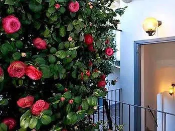 Antica Casa Balsari アパート